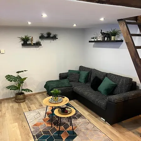 Jungle Apartment Budapest